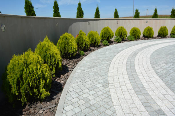 Best Driveway Pavers Near Me  in Jacksonville, AR